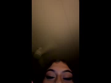 dazzlingkitten