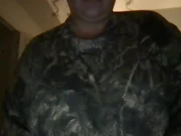 ddtibbies101