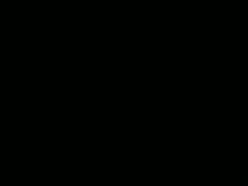 littleleo96