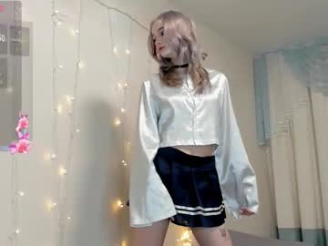 porcelaindo11
